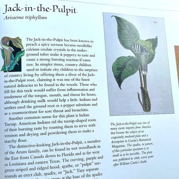 USPS Wildflowers A Collection Of U.S. Commemorative Stamps Hardcover Book - Picture 10 of 16